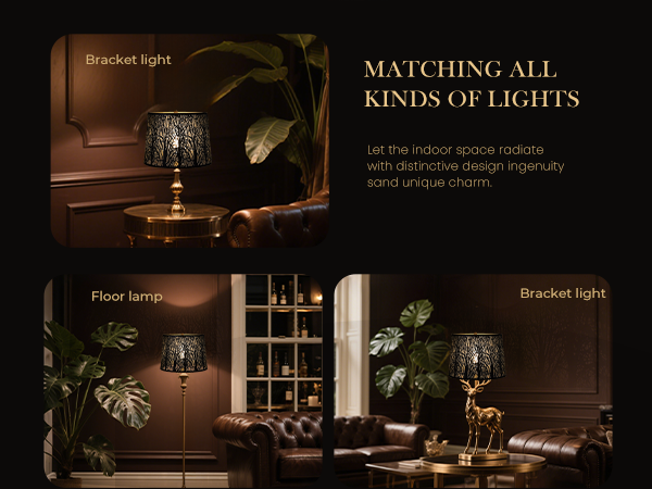 LLA-S2102-A+APP-6