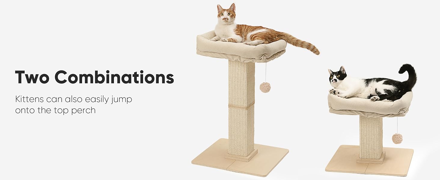 cat scratching post