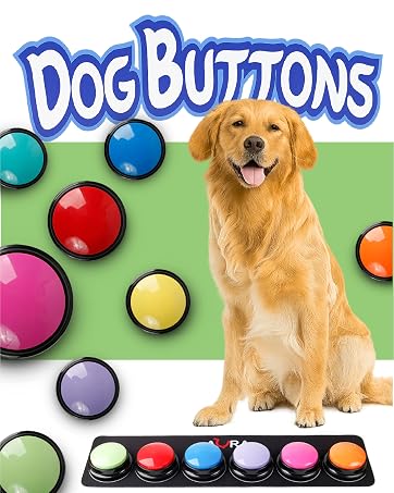 Dog button for communication speach talk
