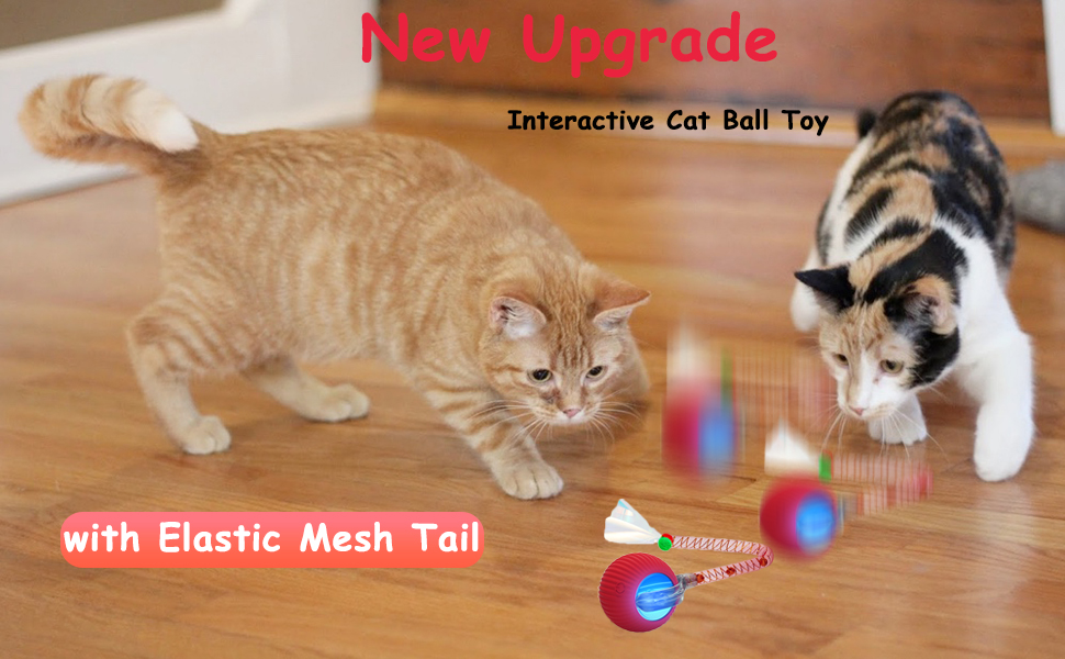 cat toys cat toys for indoor cats cat toy interactive cat toy speedy tail 2.0 cat toy