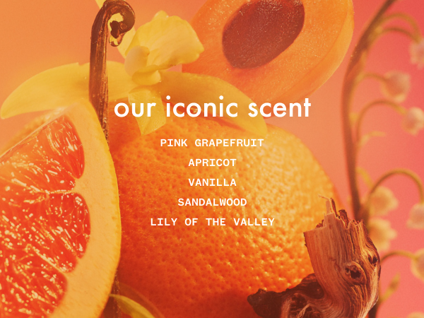amika scent