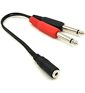 Poyiccot 3.5mm to 1/4 Adapter Cable, 1/4 Mono to 3.5mm Stereo Adapter, 1/8 to 1/4 Splitter Cable,...
