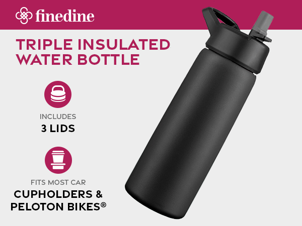 Triple insulated water bottle