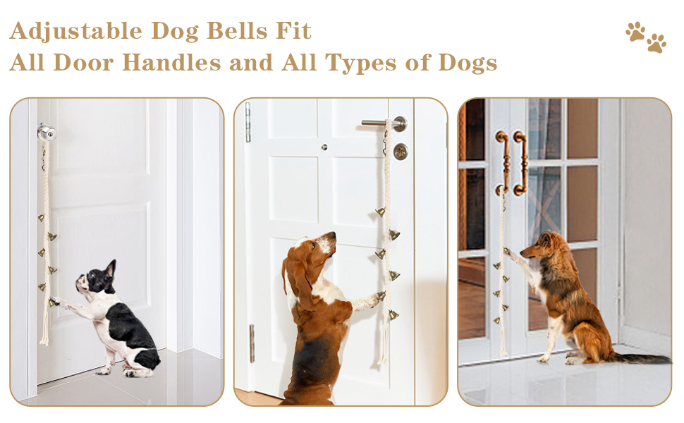 dog training