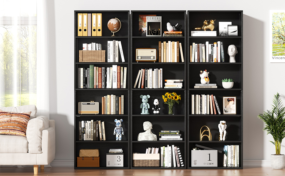Shintenchi Bookshelf