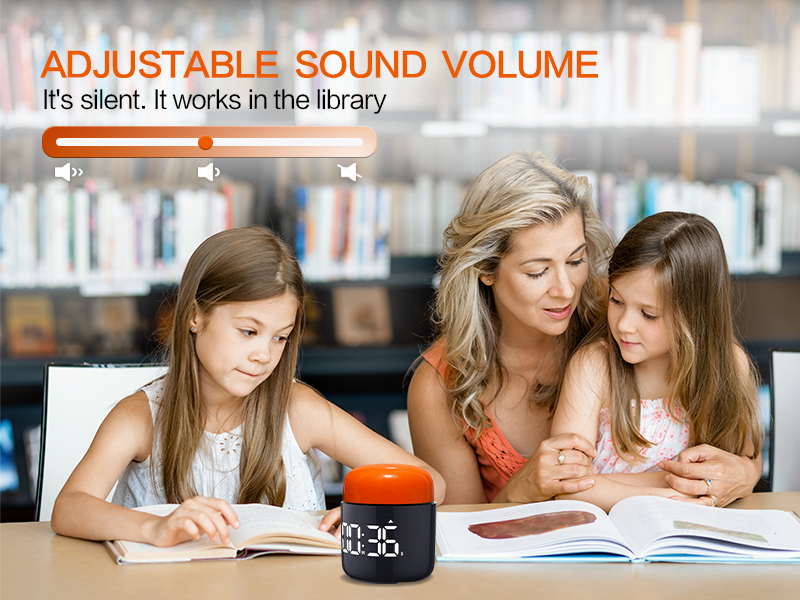 adjustable sound timer
