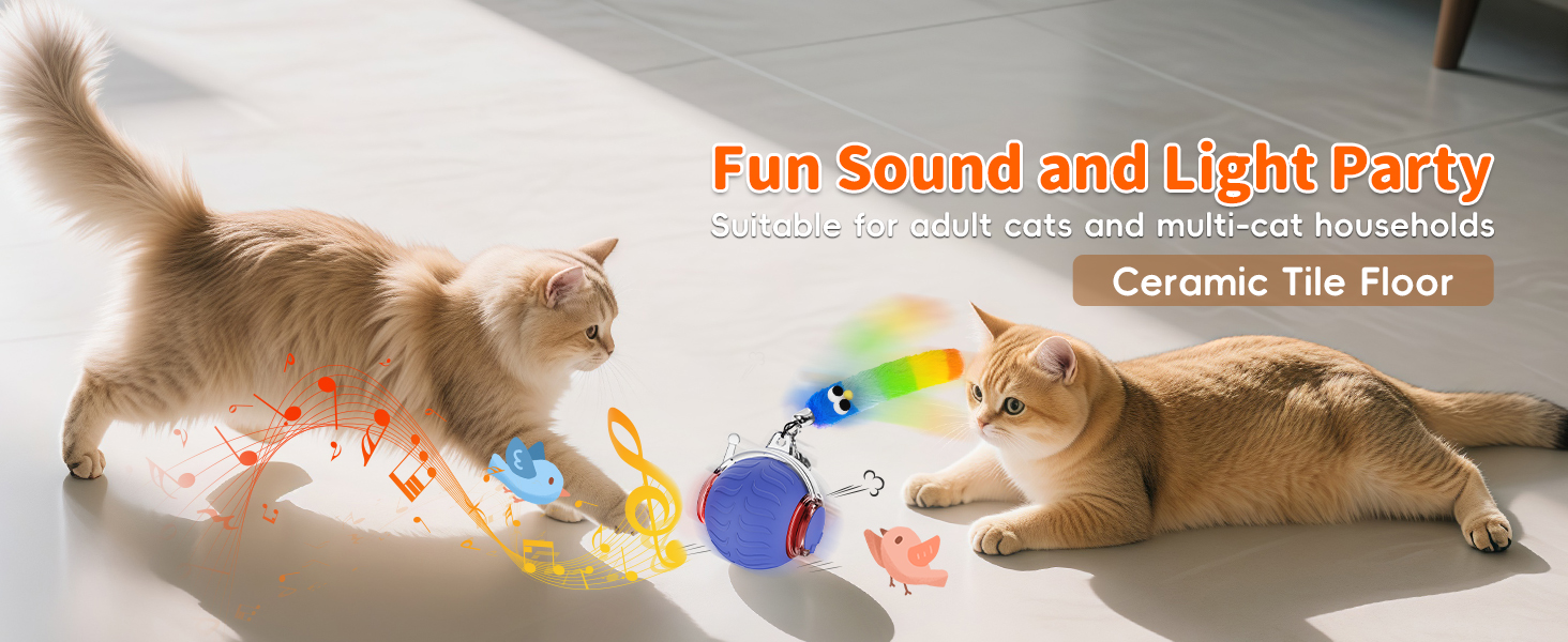 rolling cat toy