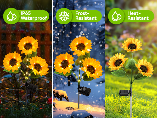 solar lights