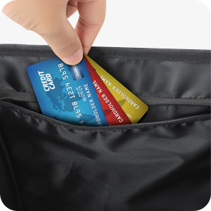 Car Organizer