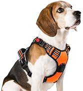 rabbitgoo Dog Harness Medium Sized, No Pull Pet Harness with 3 Buckles, Adjustable Soft Padded Do...