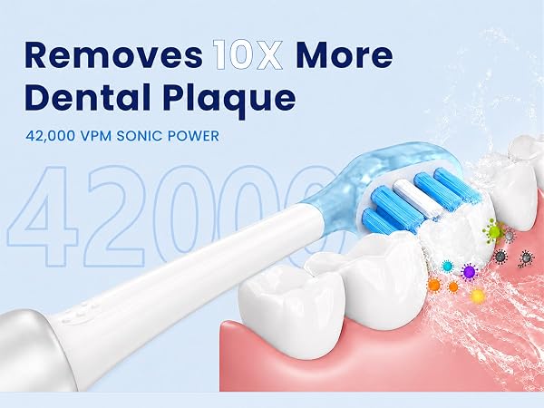Clean dental plaque