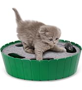 hideseek cat toys green