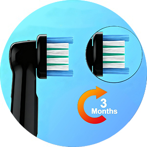 replacement toothbrush heads