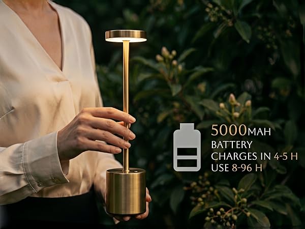 5000mAh battery charges in 4-5H use 8-96 H