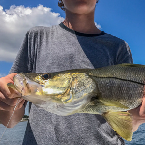 Circle Hooks Rigs