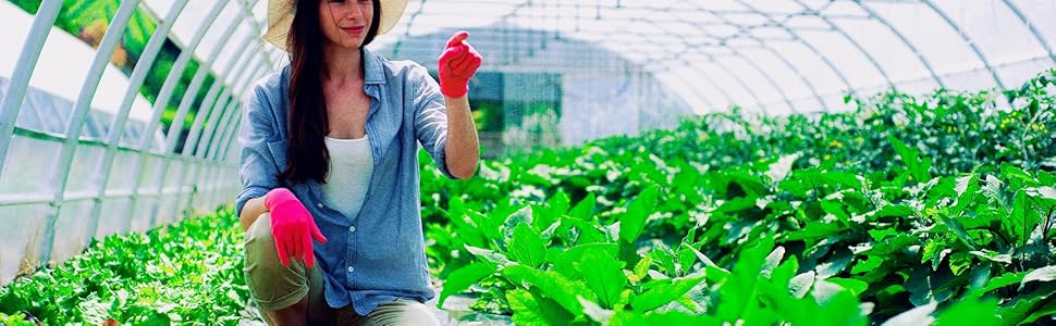 vegetables and garden mesh netting