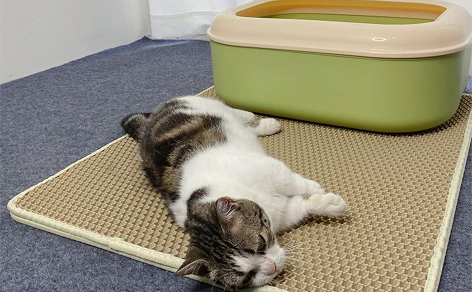 Cat Litter Mat