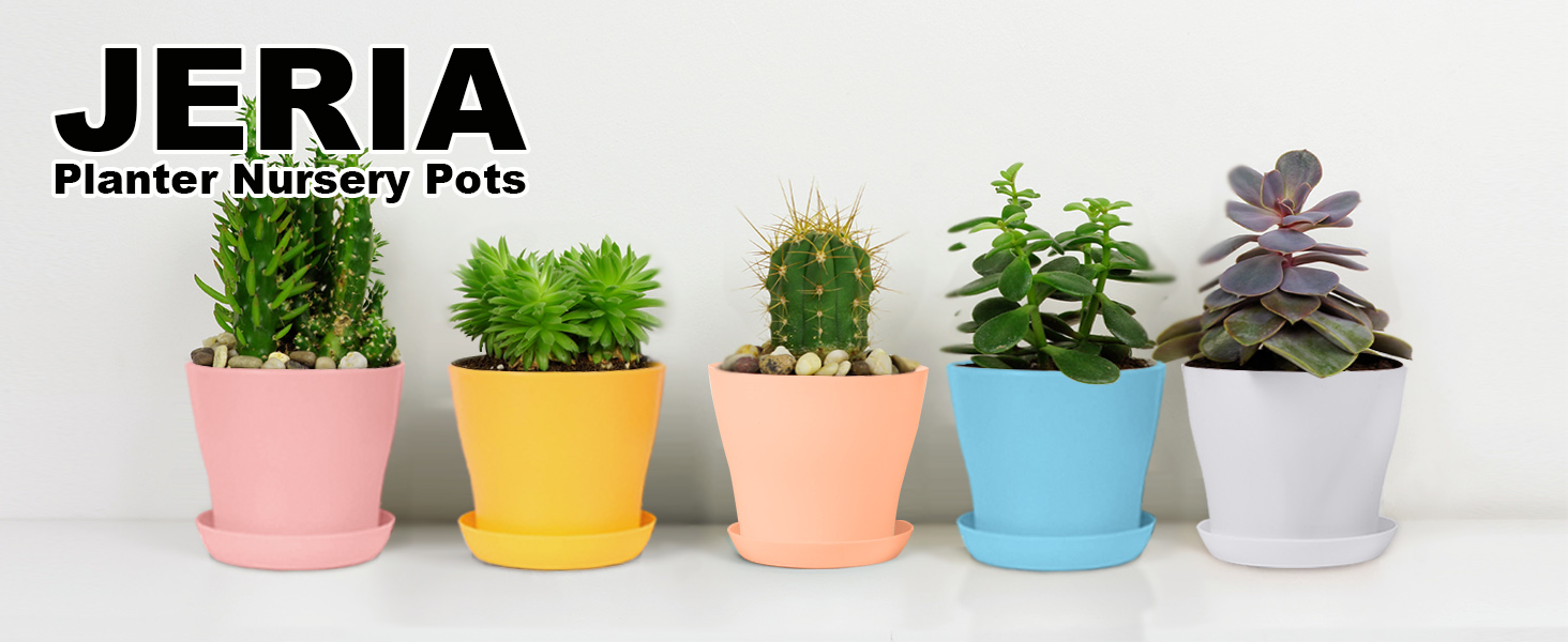4 inch plastic pots