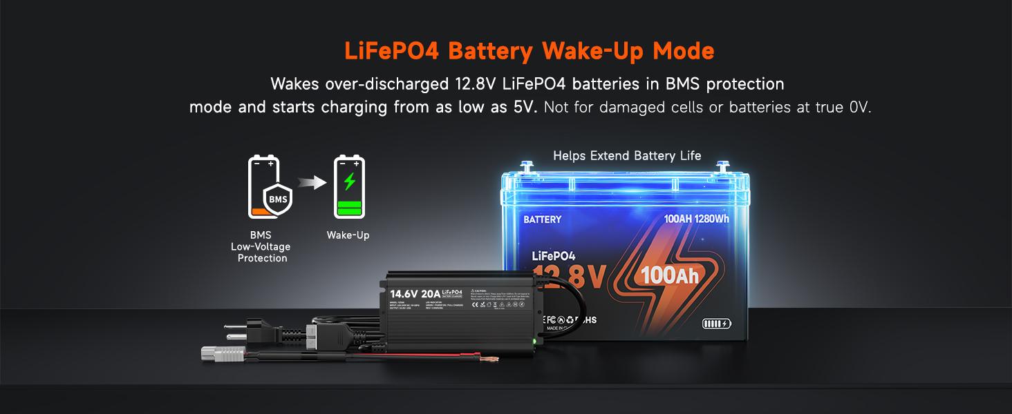 YZPOWER 12V 20A Lithium Battery Charger