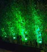 green solar spotlights