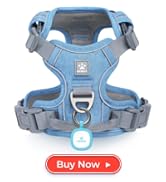 Pawaii Dog Harness for Small Dogs