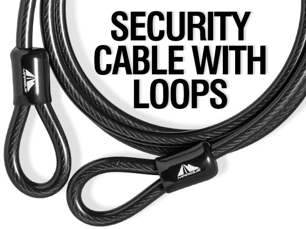 security cable