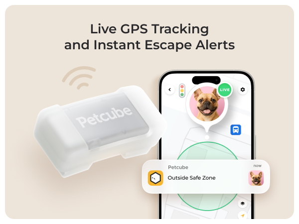 Petcube GPS Tracker for dogs