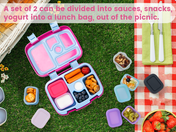 salad dressing container to go