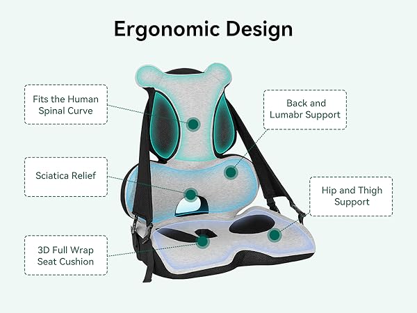 lumbar support pillow