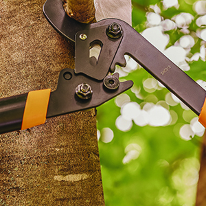 Fiskars Lopper