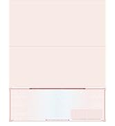 High Security Check Paper - 50 Count, Blank Checks for Business With Artificial Watermarks, Compa...