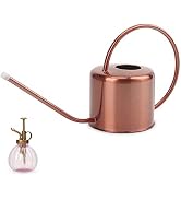 Remiawy Watering Can Indoor Outdoor Stainless Steel Watering Cans for House Plants Long Spout Wat...