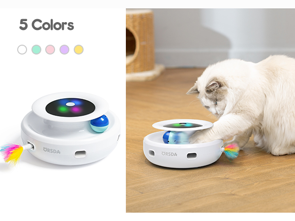 cat toy