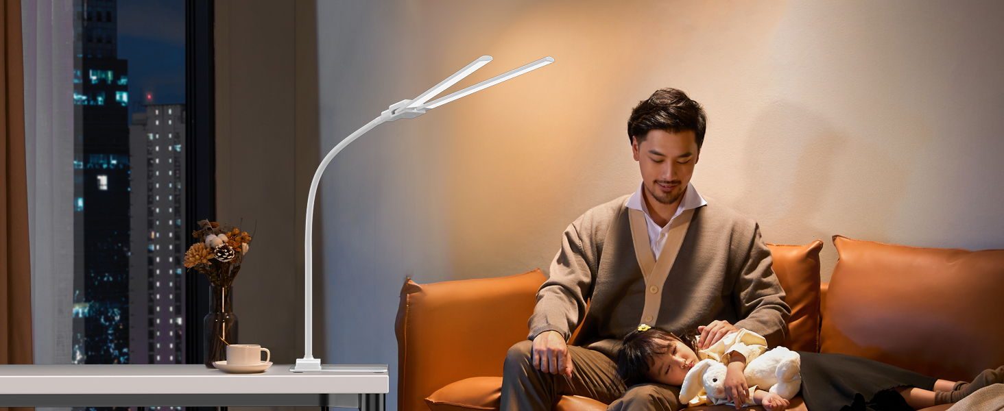 Architect Desk Lights