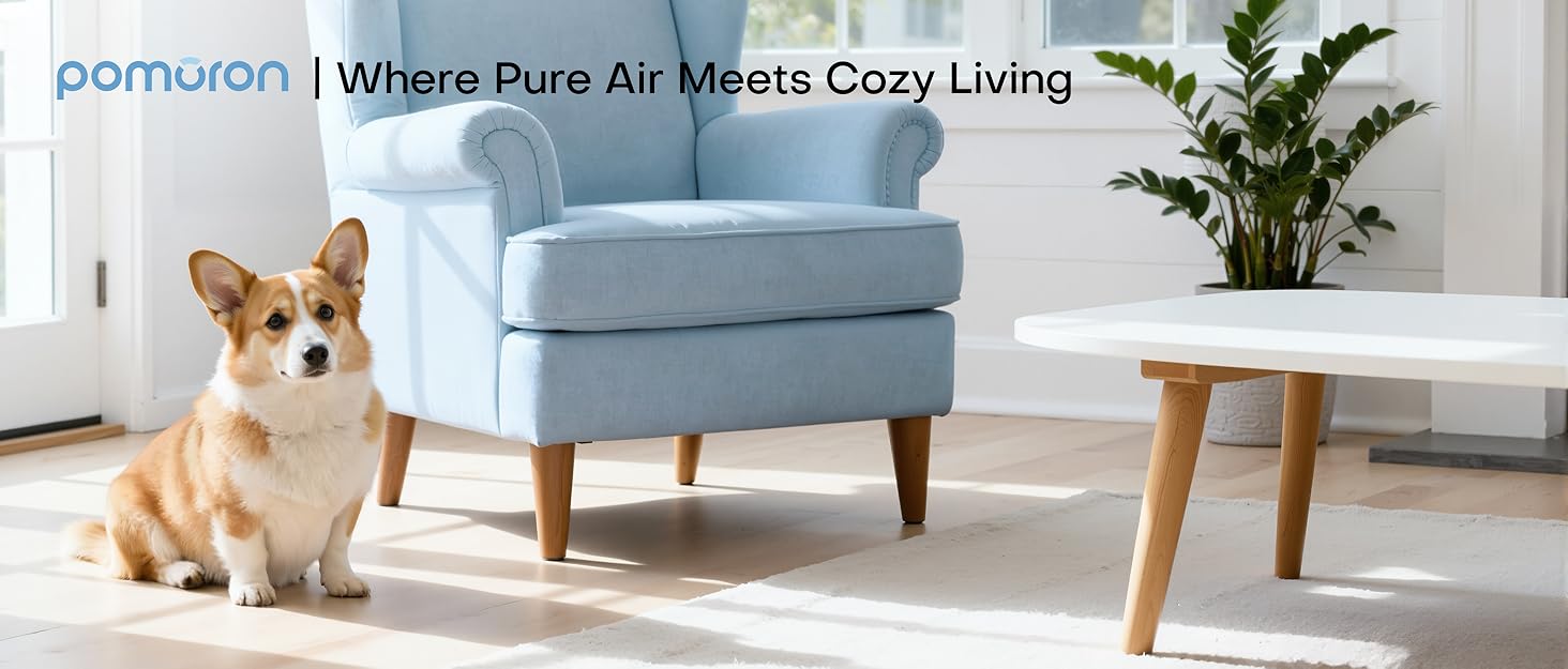 LEDI-air purifier