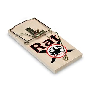 RatX Wood Trap