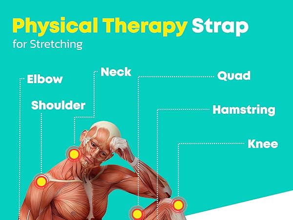 physical therapy strap