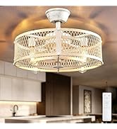 Depuley Outdoor Ceiling Fan with Light: 20" Caged Ceiling Fans with Remote App Control for Patio ...