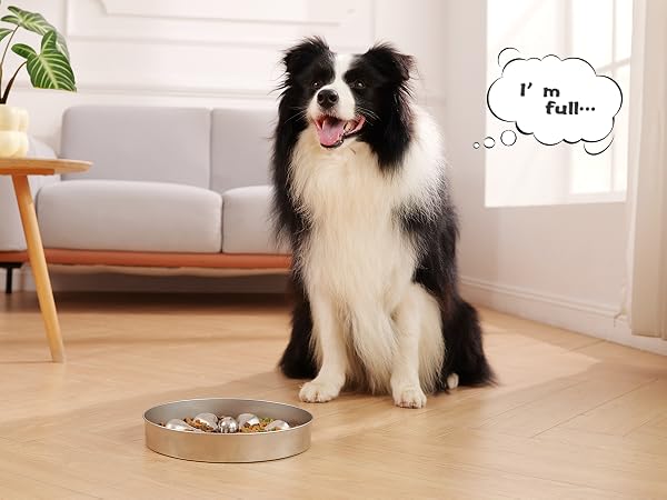 slow feeder dog bowls