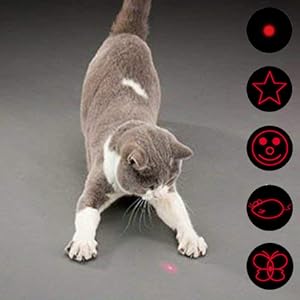 cat laser toy