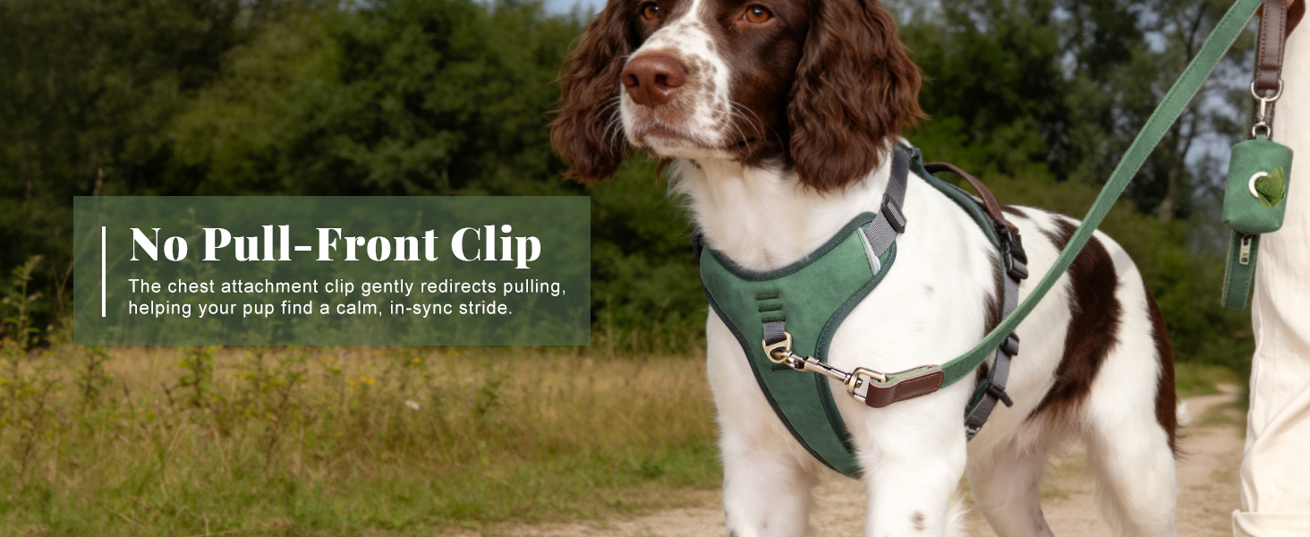 Front Clip Dog Harness