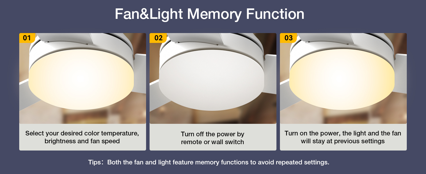 Memory Function