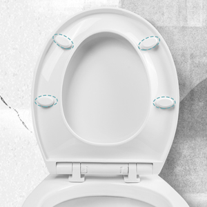toilet seat