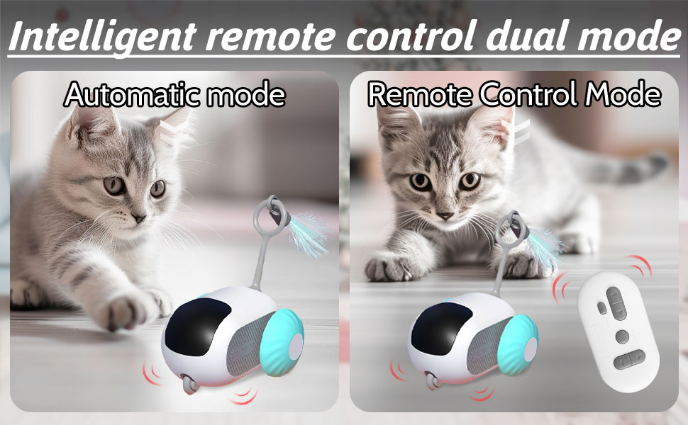 Remote Control Cat Toy