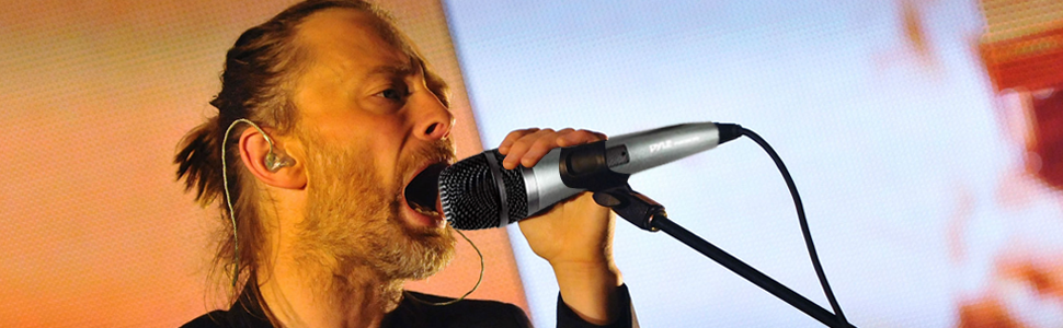 dynamic microphone