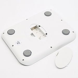 kitchen scale