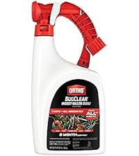 https://m.media-amazon.com/images/I/41QGhrzLBcS.__AC_SR200,225___.jpg