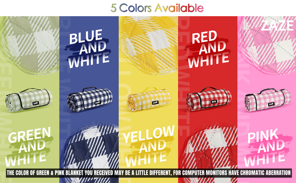 picnic