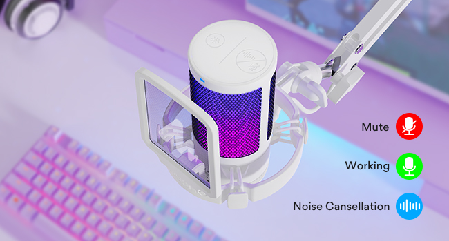 Microphone for Computer