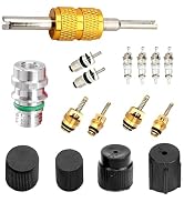 Zosgrew 16 PCS Air Condition Valve Core Kit, R134A A/C Ducts Pressure Caps and Service Valves, Un...